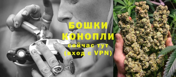 ПСИЛОЦИБИНОВЫЕ ГРИБЫ Белоозёрский