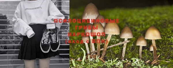 ПСИЛОЦИБИНОВЫЕ ГРИБЫ Белоозёрский