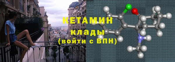хмурый Белокуриха