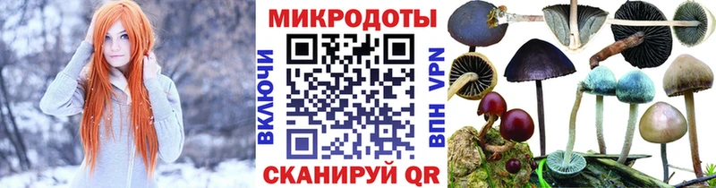 наркотики  Ершов  OMG ССЫЛКА  Галлюциногенные грибы Psilocybine cubensis 